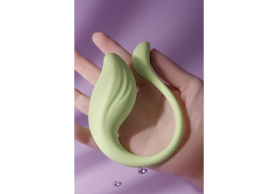 Happy Pi App-Control Distance Silicone Panty G-Spot Vibrator Dildo Wearable Adult Sex Toys for Women & Couples